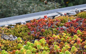 the cost of Kirklington green roof installation