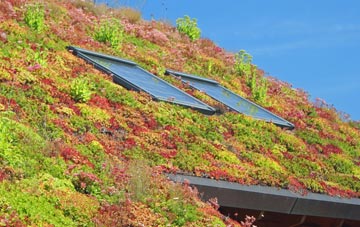 Kirklington living roof systems