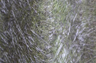 Kirklington fibreglass roof work